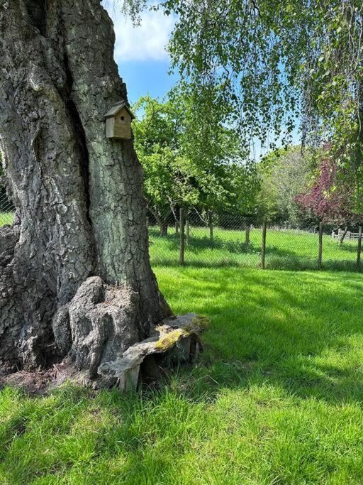 Vila Beautiful 2 Bed Oast - 15 Acre Farm - Tunbridge Wells Exteriér fotografie